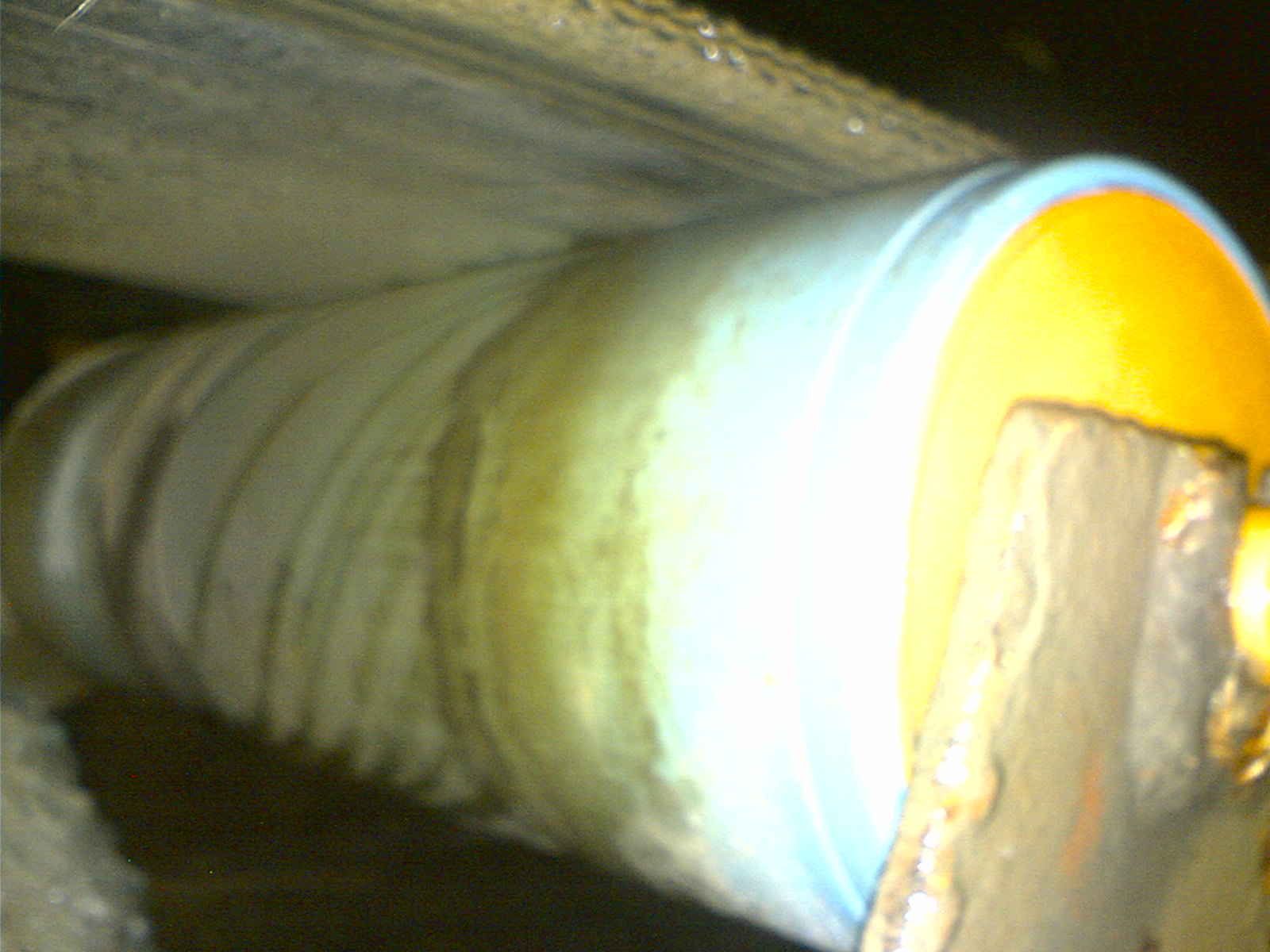 Erpm 2