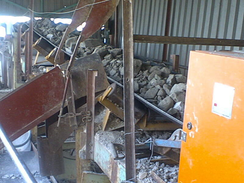 Plant 1
